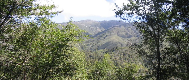 Day 1 hike 1