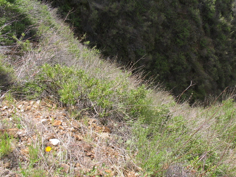 IMG_1275.JPG
