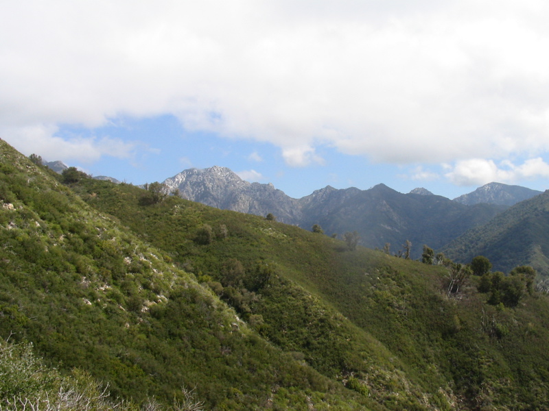 IMG_1284.JPG