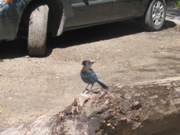 IMG_1200.JPG