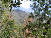 IMG_1199.JPG