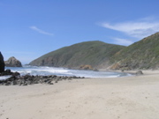 IMG_1222.JPG