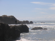 IMG_1237.JPG