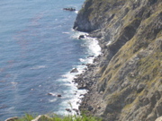 IMG_1258.JPG