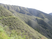 IMG_1260.JPG
