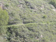 IMG_1265.JPG