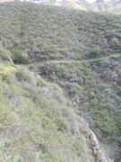 IMG_1269.JPG