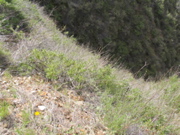 IMG_1275.JPG