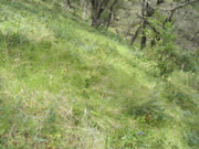 STA_1279.JPG