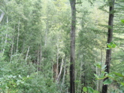 IMG_1283.JPG