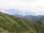 IMG_1284.JPG