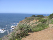 IMG_1297.JPG