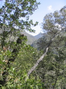 IMG_1197.JPG