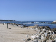 STB_1312.JPG