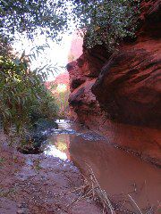 IMG_0634.JPG