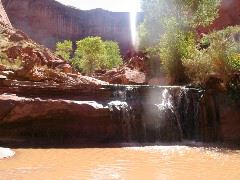 IMG_0650.JPG