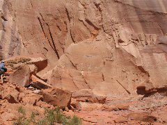 IMG_0656.JPG