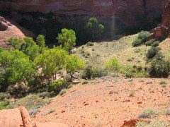 IMG_0660.JPG