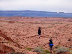 IMG_0701.JPG