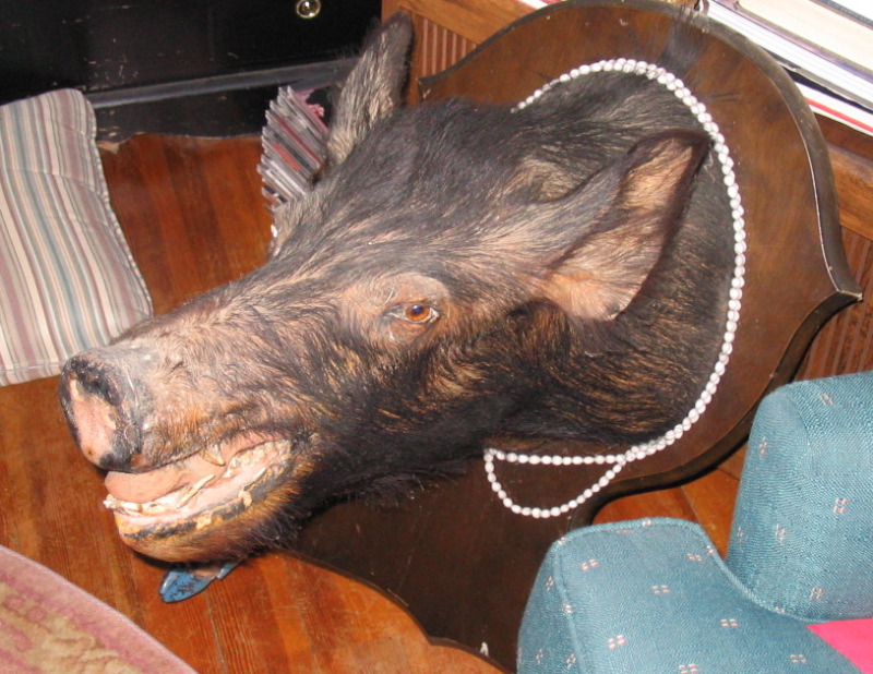 A closer look.JPG