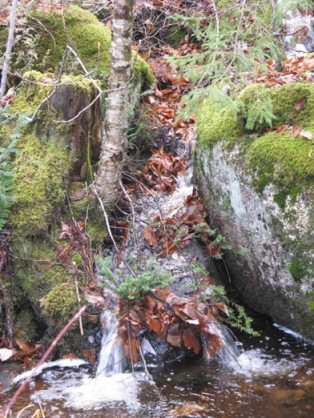 Streamlet Waterfall