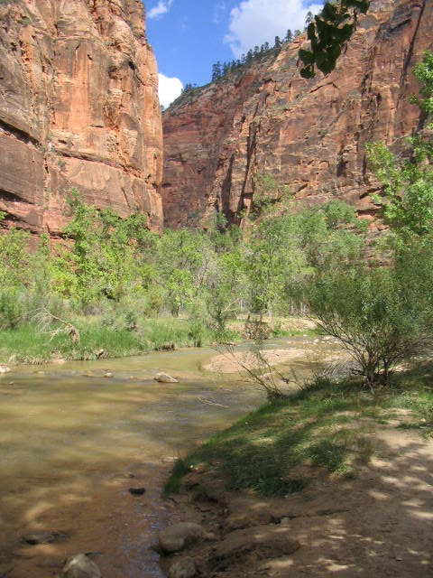 IMG_0415.JPG
